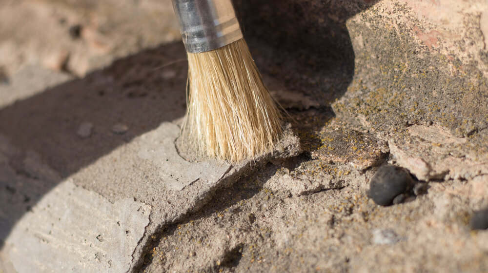 Međunarodni arheološki tim otkrio naselje u Banatu staro 7.000 godina 1
