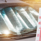 U SAD troje dece umrlo u uzavrelim automobilima za nedelju dana 8