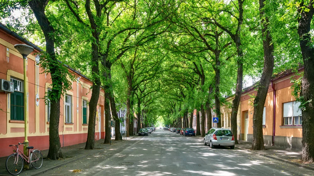 Među 50 najlepših ulica na svetu našla se i jedna iz Srbije 1