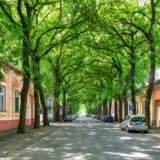 Među 50 najlepših ulica na svetu našla se i jedna iz Srbije 3