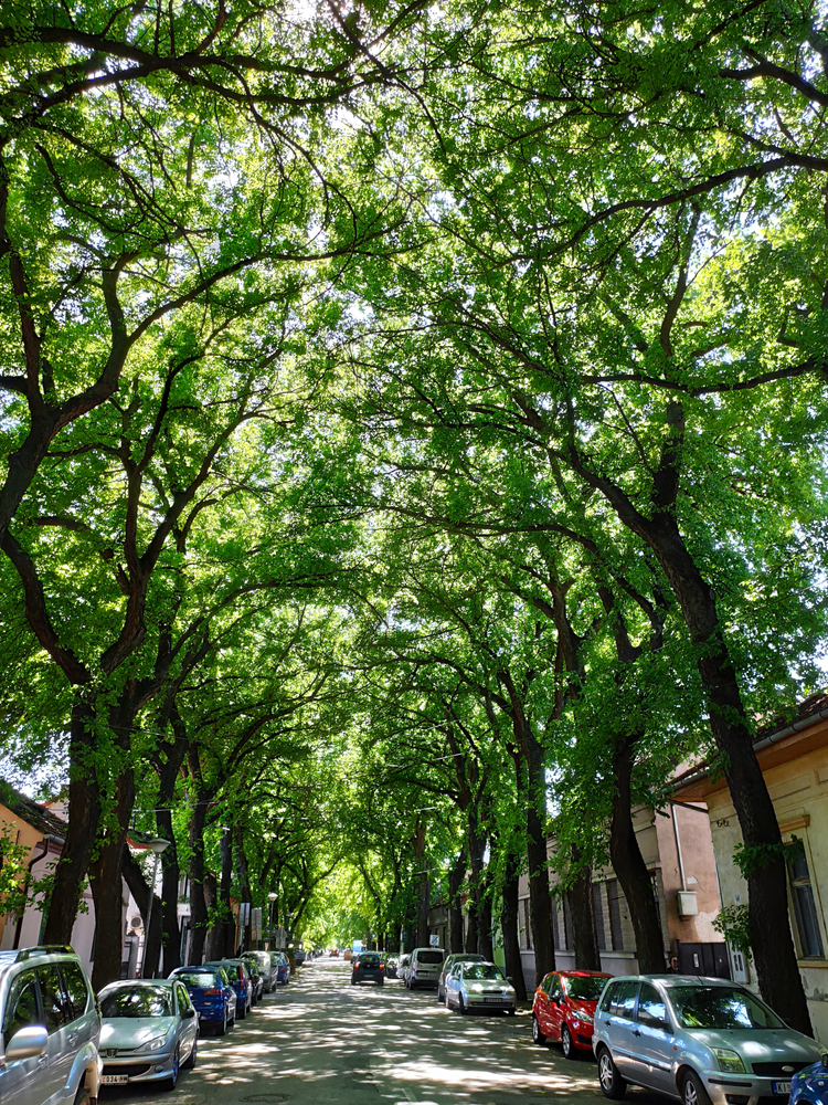 Među 50 najlepših ulica na svetu našla se i jedna iz Srbije 2