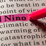 Da li nam se sprema najtoplija godina ikada zabeležena? 9