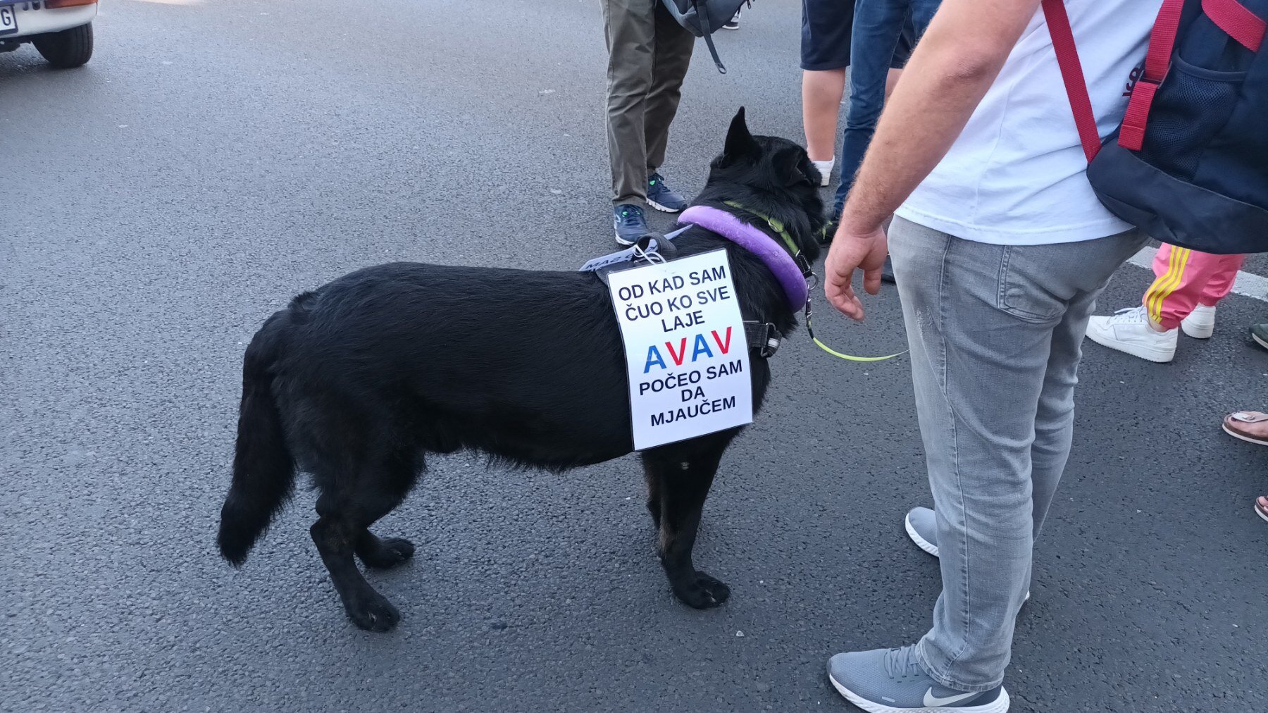 Slike koje su obeležile blokade auto-puteva u Beogradu i Novom Sadu (FOTO) 4