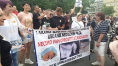 Protest "Srbija protiv nasilja" u preko 10 gradova obeležile šetnje, blokade puteva i zahtevi za ostavkama (FOTO, VIDEO) 85