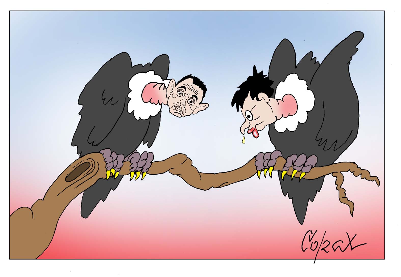 Corax 10
