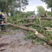 Oluja pogodila Hrvatsku: Padao grad, vetar čupao drveće 14