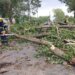 Oluja pogodila Hrvatsku: Padao grad, vetar čupao drveće 17