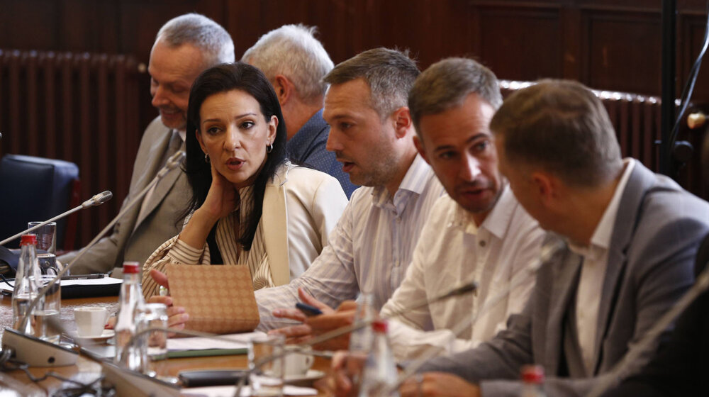 Marinika Tepić na čelu Anketnog odbora, Pilja zamenica (VIDEO) 1