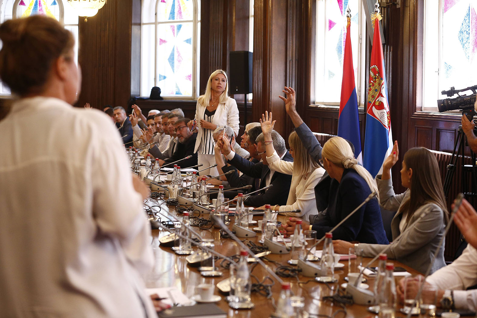 Marinika Tepić na čelu Anketnog odbora, Pilja zamenica (VIDEO) 3