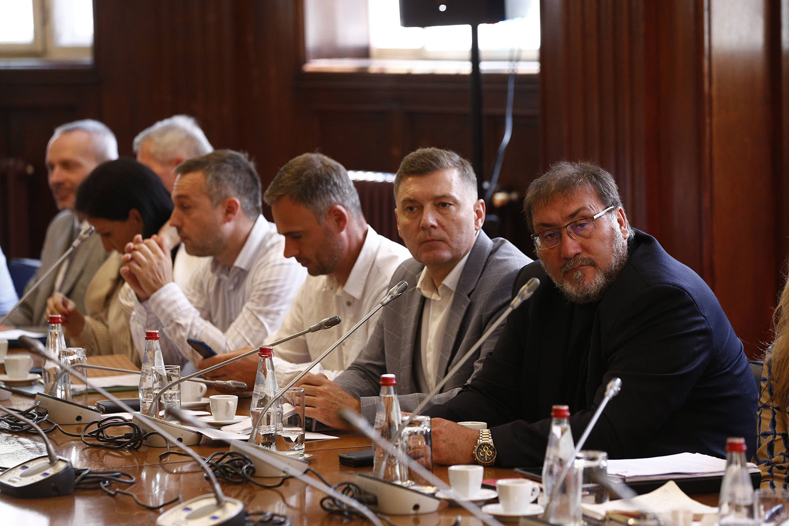 Marinika Tepić na čelu Anketnog odbora, Pilja zamenica (VIDEO) 2