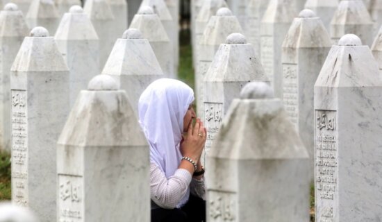 Koje države su do sada podržale Rezoluciju o genocidu u Srebrenici? 11