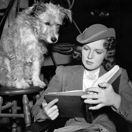 Psihologija: Kako je zaboravnost dobra za pamćenje 4 Vežbanje i obučavanje može da poveća vezu između neurona za formiranje sećanja kod svih životinja, naročito kada postoji odmor između njih