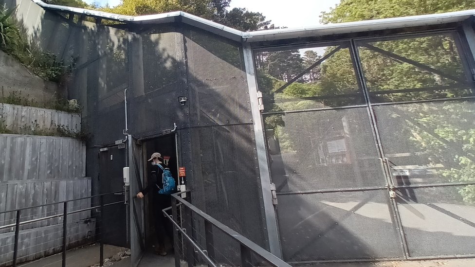 Životinje i priroda: Novi Zeland nastoji da istrebi predatore kako bi spasio domaće ptice 6 Entrance to Zealandia