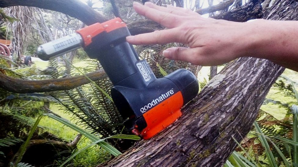 Životinje i priroda: Novi Zeland nastoji da istrebi predatore kako bi spasio domaće ptice 8 Self-resetting trap on Stewart Island