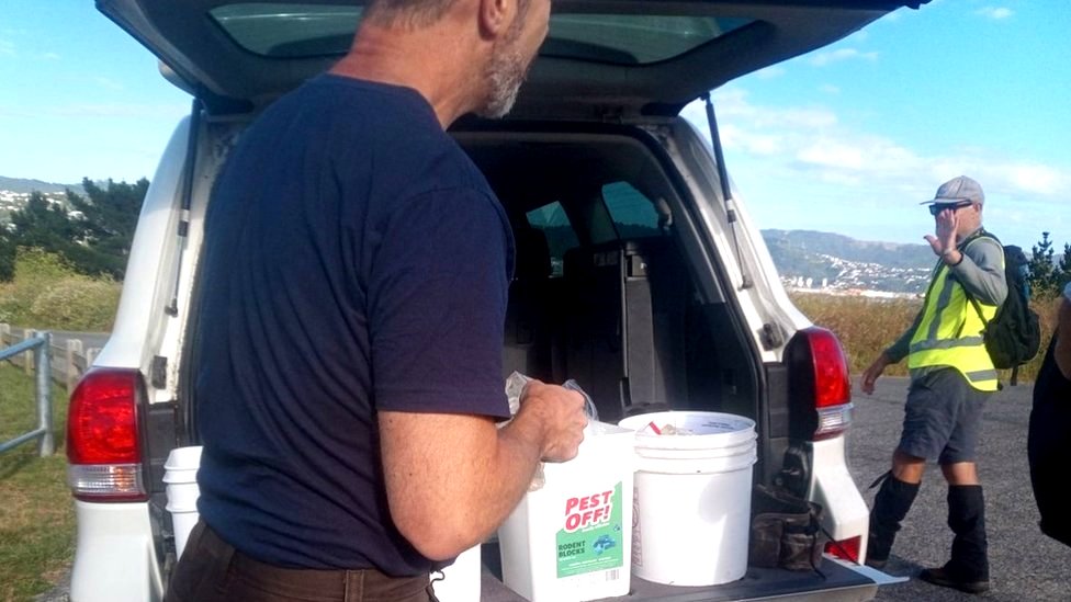 Životinje i priroda: Novi Zeland nastoji da istrebi predatore kako bi spasio domaće ptice 2 Predator Free Miramar outing