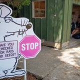 Životinje i priroda: Novi Zeland nastoji da istrebi predatore kako bi spasio domaće ptice 7