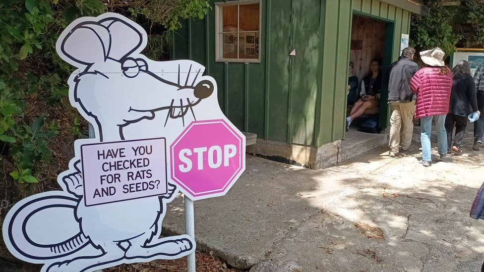 Životinje i priroda: Novi Zeland nastoji da istrebi predatore kako bi spasio domaće ptice 1 Sign on Ulva island, off Rakiura