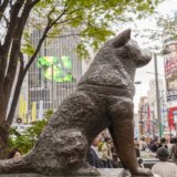 Hačiko: Najverniji pas na svetu puni 100 godina 4