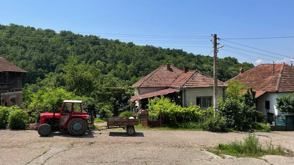 Poljoprivreda i Srbija: Od 'žitnice Evrope' do sve manje gazdinstava 4 Selačka