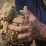 Poplave u Srbiji: Kako obnoviti život i osušiti kuću, četvrti put u sedam godina 4