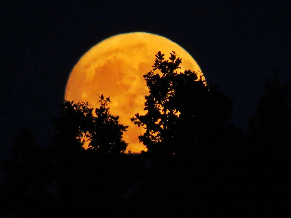 Mesec narandžaste boje na tamnom nebu uslikan iz Stokingforda u Engleskoj u nedelju