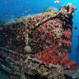 Okeani: Koliko brodskih olupina leži na dnu svetskih mora 6