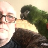 Velika Britanija: Policija tražila „ženu koja vrišti", a našla papagaja 5