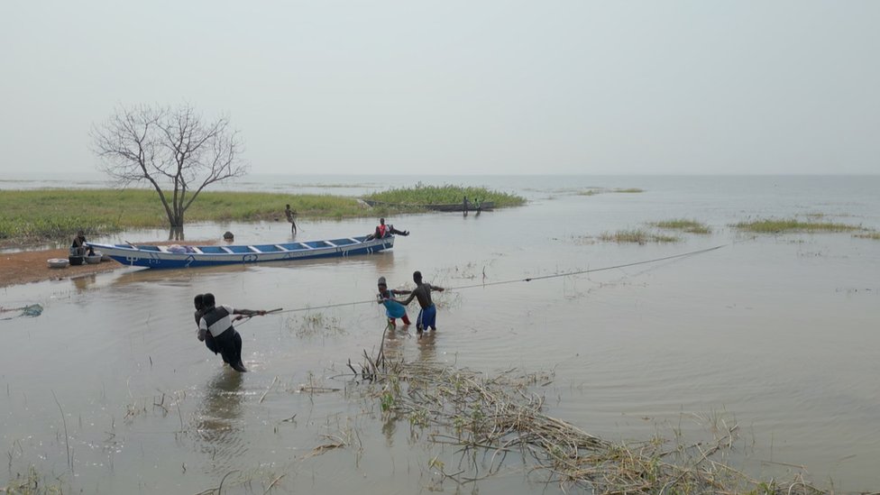 Gana, jezero Volta