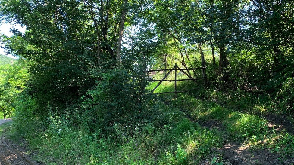 Svetski dan stanovništva: „Koja muka vas je navela ovde", BBC u seoskim pustinjama na jugu Srbije 2 Golešnica