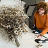 Životinje: Osveta ptica - bodljikavu ogradu koja se koristi protiv njih, kidaju i prave gnezda 4