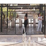 Toplotni talas ’Kerber’: Vrelina zahvatila južnu Evropu, grčki Akropolj zatvoren zbog visokih temperatura 6