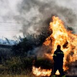 Toplotni talas ’Kerber’: Noćne visoke temperature opasnije od dnevnih, upozoravaju stručnjaci, šumski požari širom Evrope 6