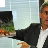 Nemačka: Odbegla divlja životinja više od 24 sata šeta Berlinom, vlasti veruju da je ipak reč o vepru 5