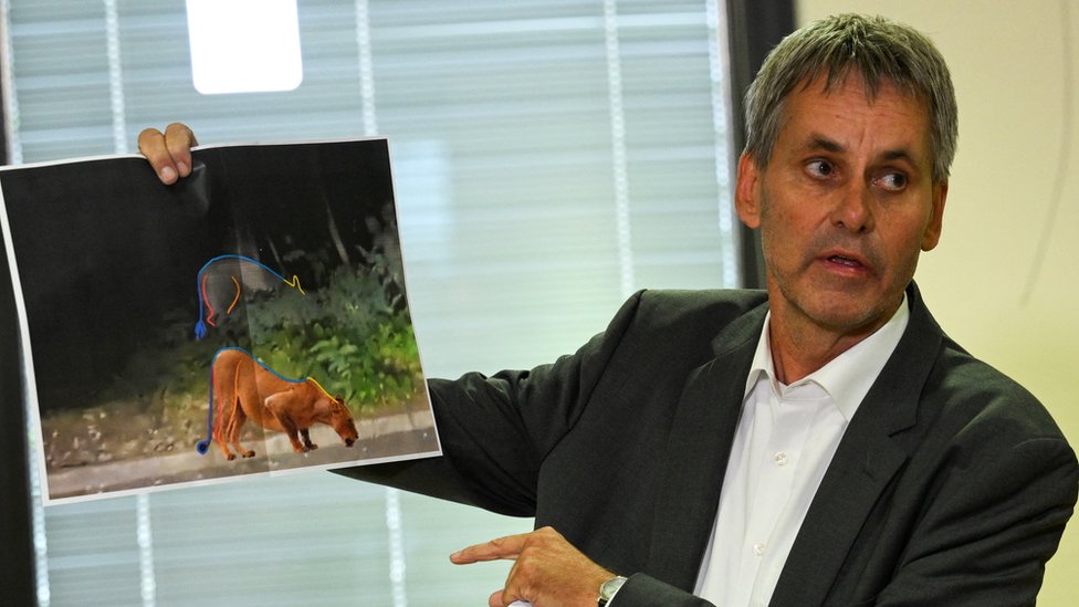 Michael Grubert, Mayor of Kleinmachnow, holds a picture which shows that suspected animal on the loose