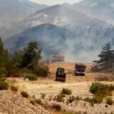 Toplotni talas ’Kerber’: Novi požari u Grčkoj, vatrogasac na Rodosu: „Uzaludno je" 10