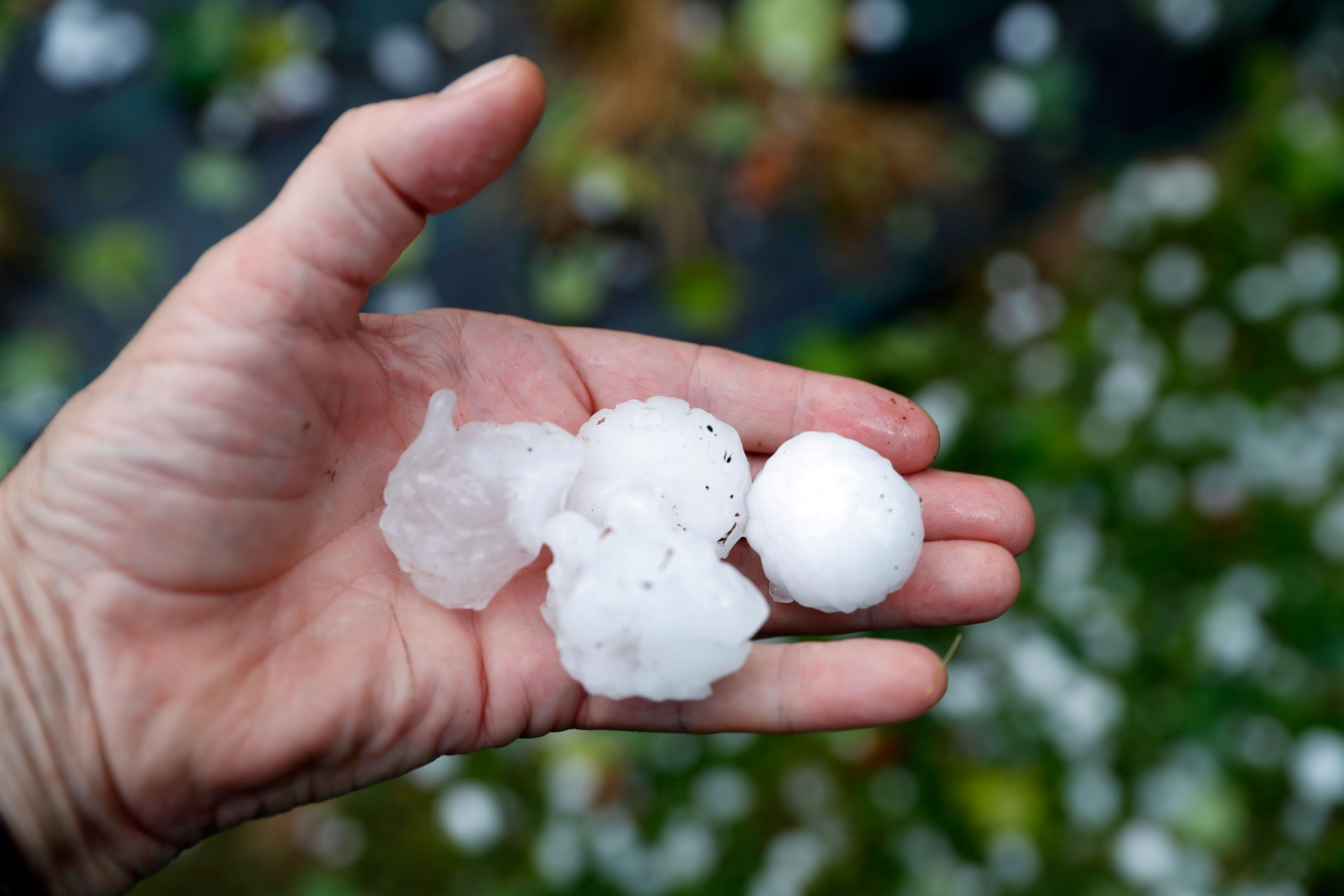 Superćelijska oluja: Kolika je šteta od nevremena u Srbiji i ko će da je plati 2 Posledice oluje