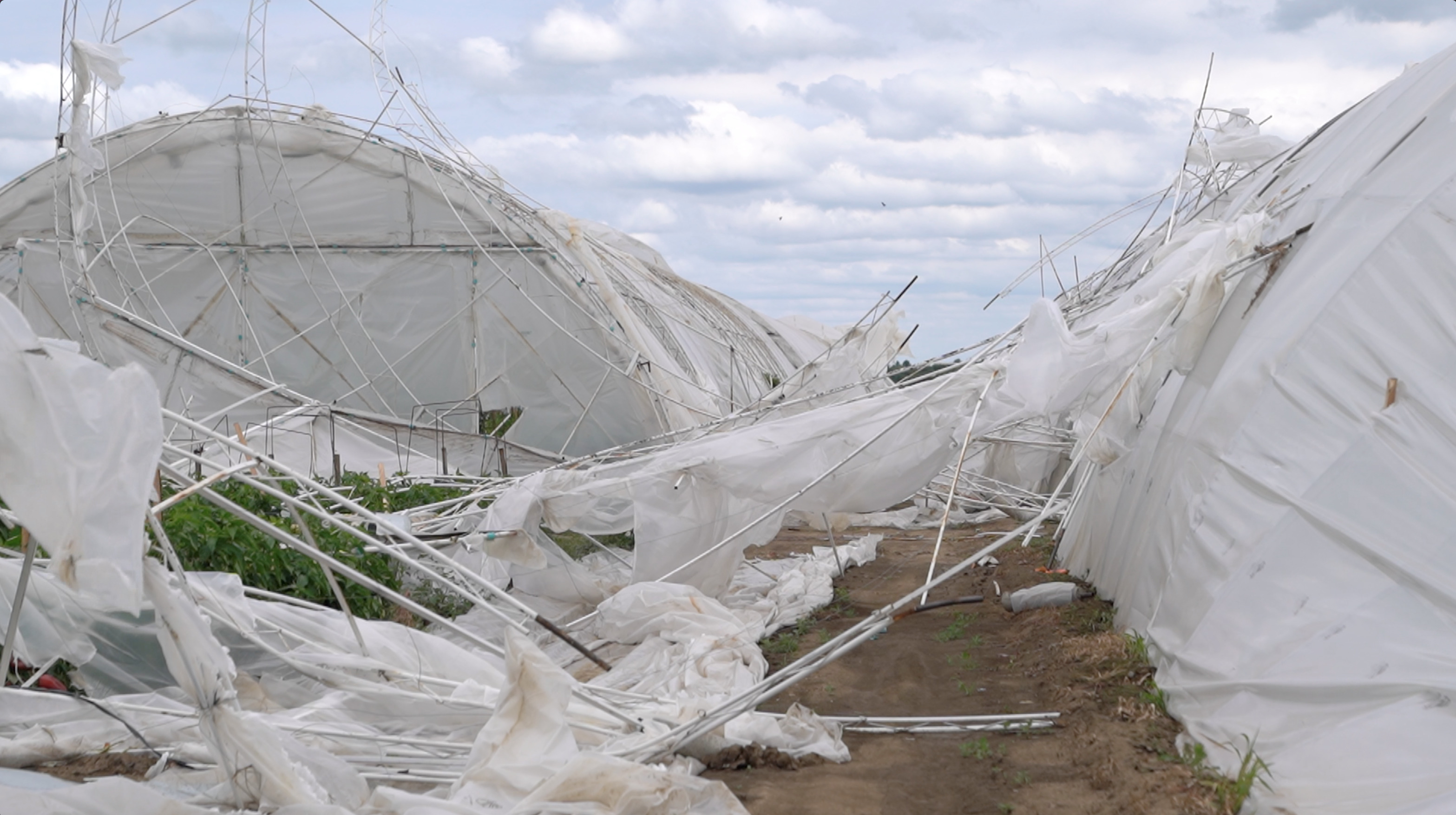 Superćelijska oluja: Kolika je šteta od nevremena u Srbiji i ko će da je plati 3 Srušeni plastenik