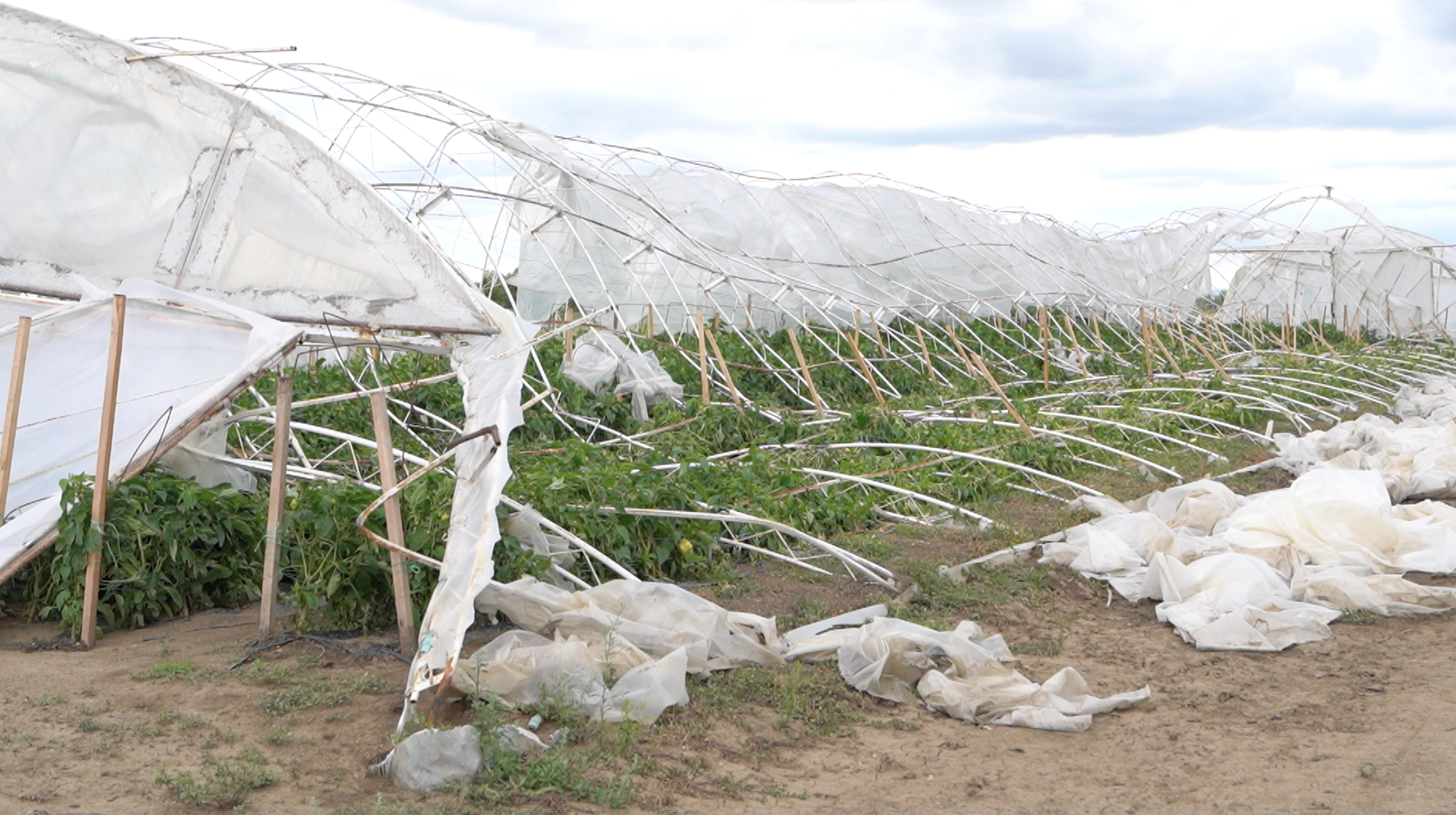 Superćelijska oluja: Kolika je šteta od nevremena u Srbiji i ko će da je plati 4 Srušeni plastenik