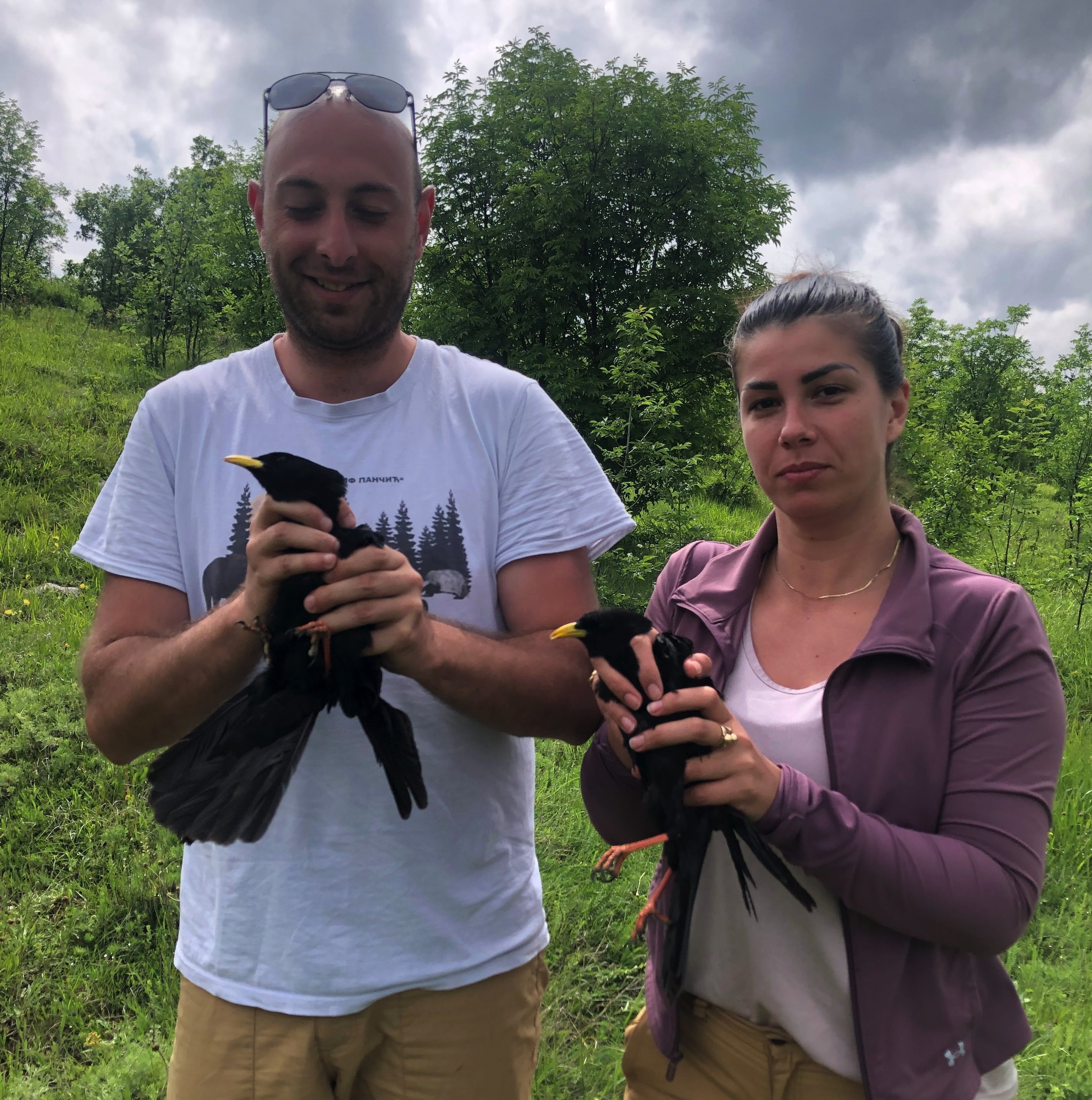 Srbija i životna sredina: Ko su konzervatori prirode i šta oni rade 3 žutokljune galice