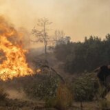 Požari u Grčkoj: Pronađeno 18 ugljenisanih tela u šumi, trajekt pretvoren u bolnicu 6
