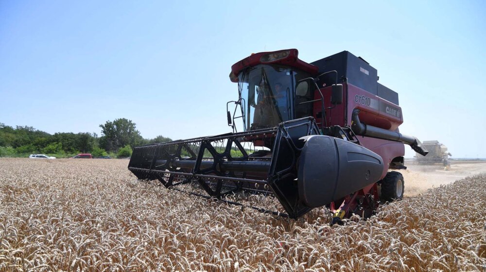 Poljoprivrednici: Žetva pšenice počinje ranije, troškovi će nadmašiti prihode 10