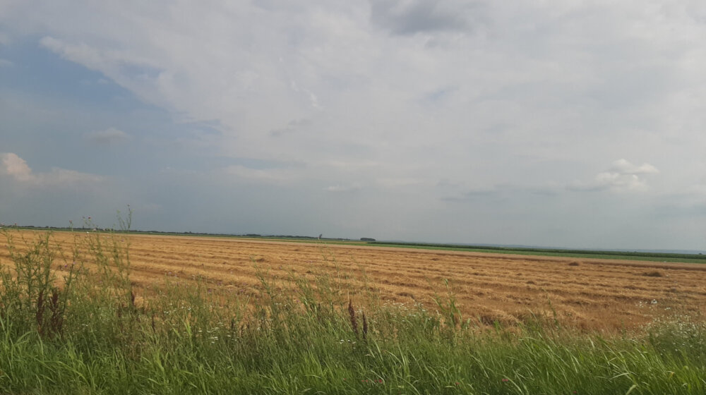 Vlast Deklaracijom o Vojvodini skreće pažnju sa problema: Godinama širom Banata nema pijaće vode 1