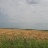 Zrenjanin raspisao javni poziv za pravo prečeg zakupa poljoprivrednog zemljišta 4