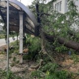 Još se sanira šteta od nevremena u Zrenjaninu, nema povređenih 7