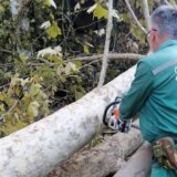 Novosadska javna preduzeća poslove saniranja posledica oluja privela kraju: Štetu prijavilo više od 4.000 građana 8