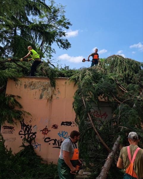 Radnici subotičke “Čistoće” pomažu Novom Sadu u saniranju posledica olujnog nevremena 2