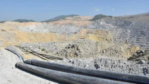 Zbog višedecenijskog izlaganja povišenim koncentracijama arsena u vazduhu, stanovnici Bora izloženi su riziku od brojnih zdravstvenih posledica, posebno karcinoma pluća, a udisanje kadmijuma, koji je takođe veoma štetan po zdravlje, karcinogen i povišen nakon rekonstrukcije topionice dodatna je komponenta - jer se on taloži i u zemljištu, o čemu u analizi piše i za portal N1 objašnjava univerzitetska profesorka u penziji i pulmološkinja Dragana Jovanović.