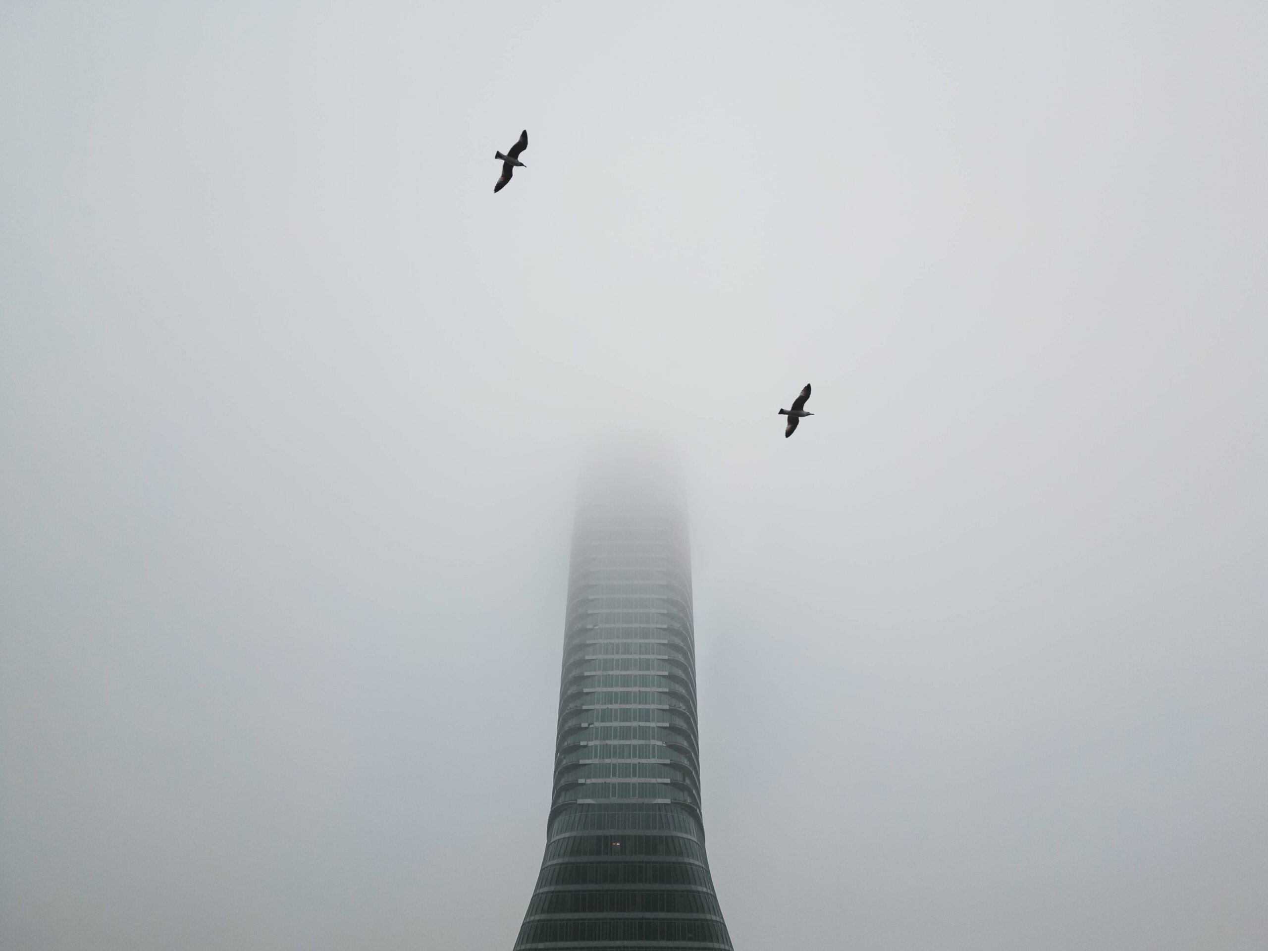 Uručene nagrade na jubilarnom konkursu za Betinu fotografiju godine i nagrade "Dragan Janjić" 4 Uručene nagrade na jubilarnom konkursu za Betinu fotografiju godine i nagrade "Dragan Janjić" 4