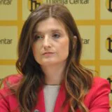 Petronijević Terzić: Vulin će biti smenjen, samo je pitanje kada i na koji način 10