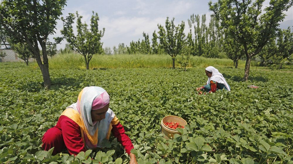 žene u poljoprivredi